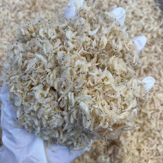 遂溪县淡干虾皮批发虾皮海鲜干货新货一整箱批发 一件代发