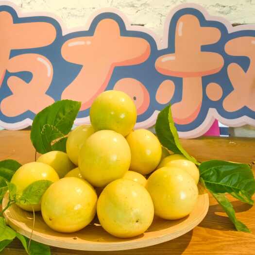 鹤山市黄金百香果友大叔的果园出品