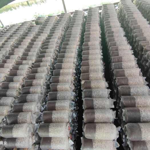 凯里市平菇菌棒、出菇棒，棉籽壳玉米芯高营养配方产量高，提供技术指导