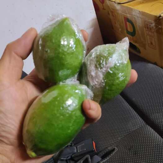阳春市广东香水柠檬