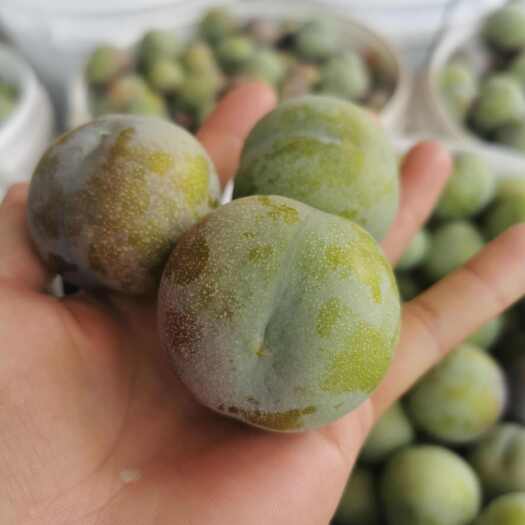 绥江县半边红
