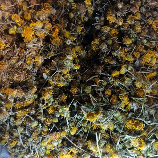 凤阳县25年新货中药材旋覆花悬浮花金钱菊金佛花金佛草六月菊复花
