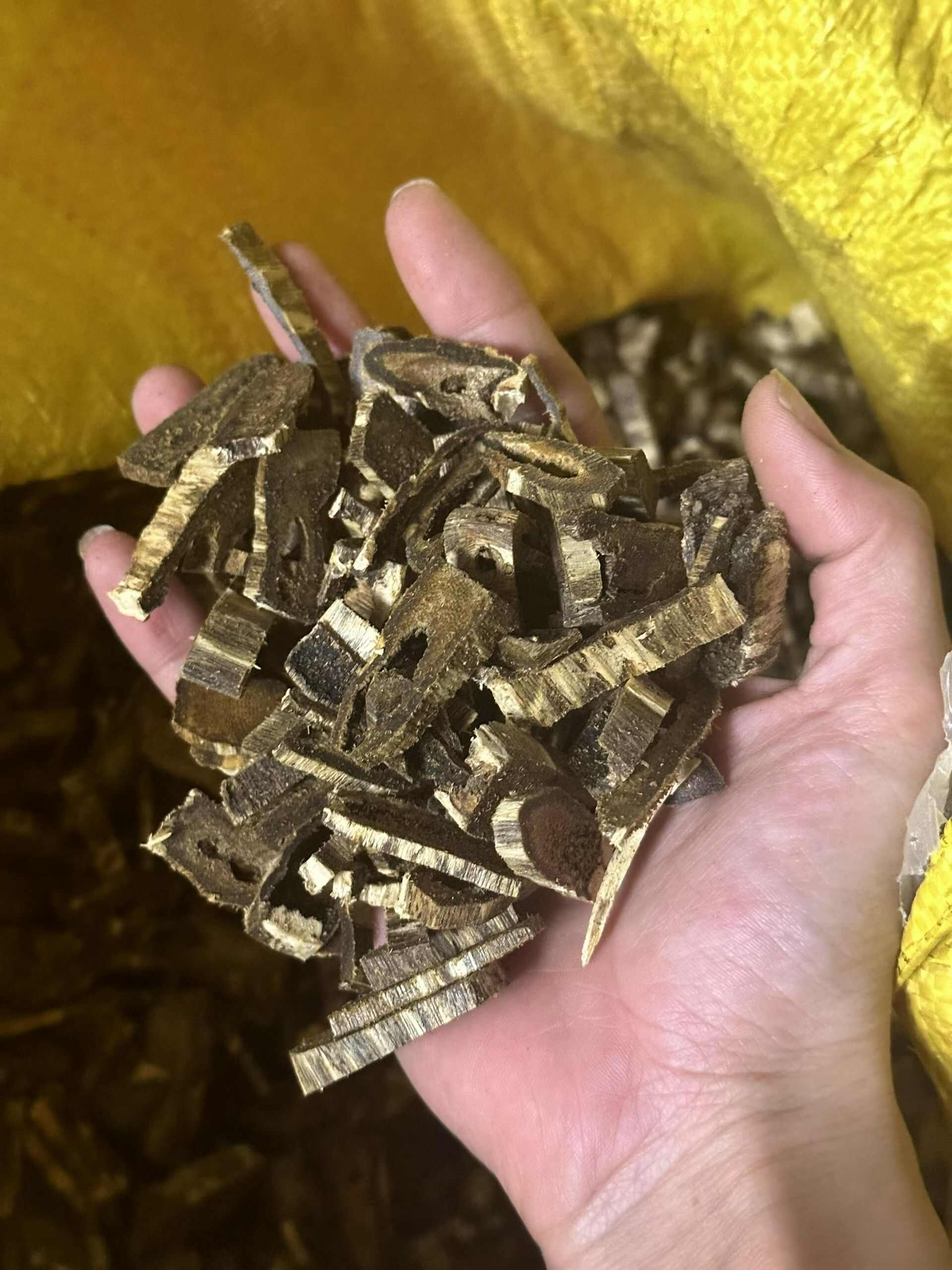 沉香中药材藤木类黑油开珠边角料老料广东茂名电白产地直供