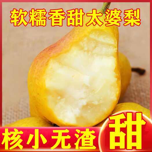 运城【新鲜采摘】烟台太婆梨软糯香甜当季新鲜水果梨子大头梨