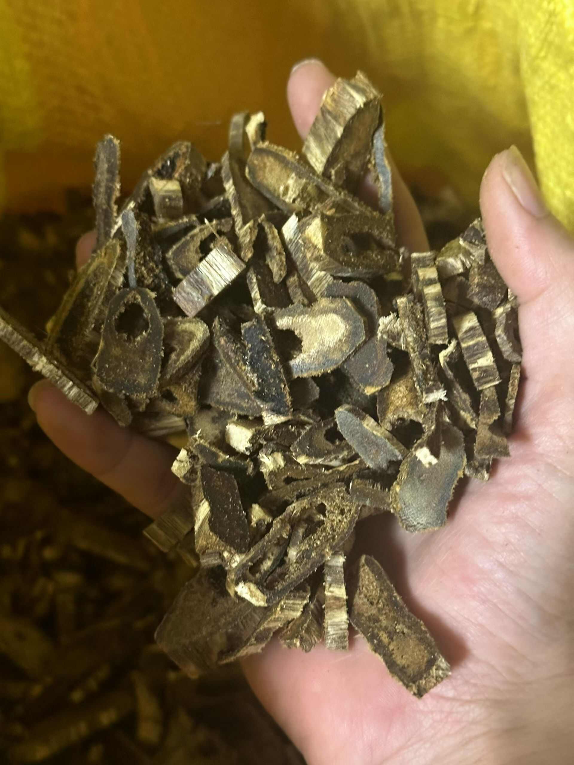 沉香中药材藤木类黑油开珠边角料老料广东茂名电白产地直供