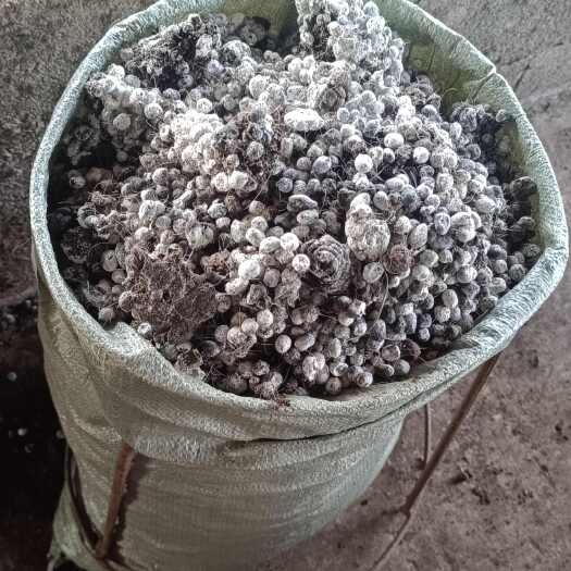 重庆市干羊粪 有机肥