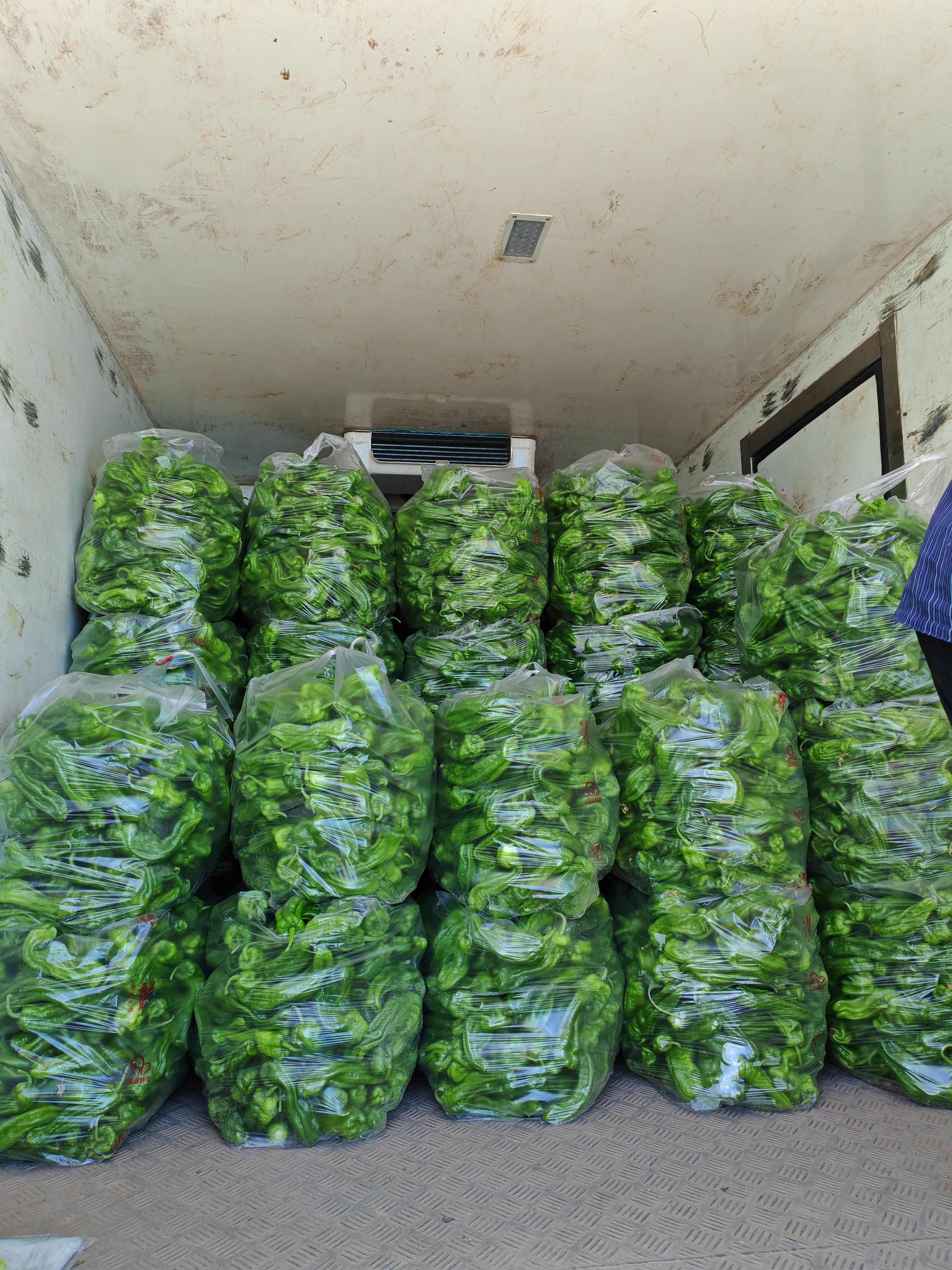 芜湖椒，皮薄，微辣。