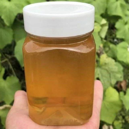 沁水县山西晋城沁水荆条蜜 天然蜂蜜24个月保质期 营养滋补品非药品