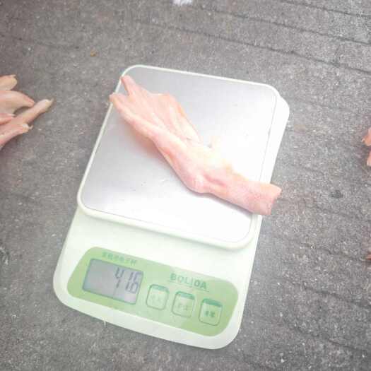 东莞市平切鸭掌，量大从优