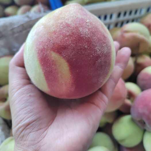 市场靓货水蜜桃脆甜多汁果面漂亮