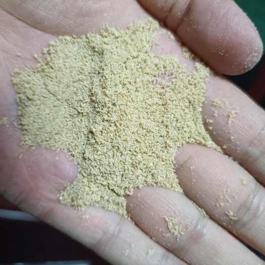 原阳县小麦胚芽膨化胚芽蛋白27水分6脂肪9大量出货