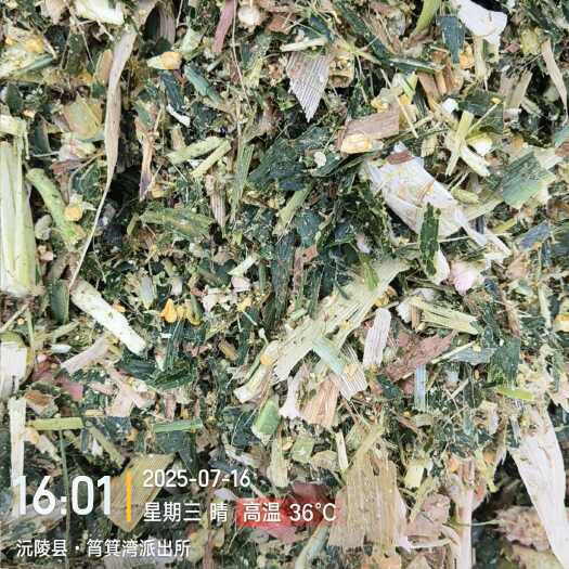 沅陵县刚出炉的全株玉米，需要的联系