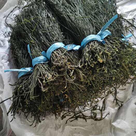 精品干豆角，