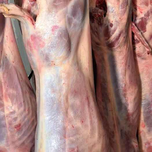 利津县羊白条，烤全羊，羊肉，羊副产品