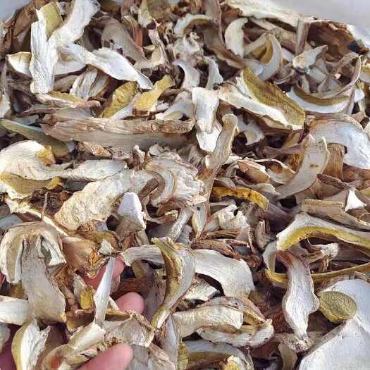 广元云南菌子云贵川野生甜荞美味白牛肝菌干货净重批发物硫蘑菇食用菌