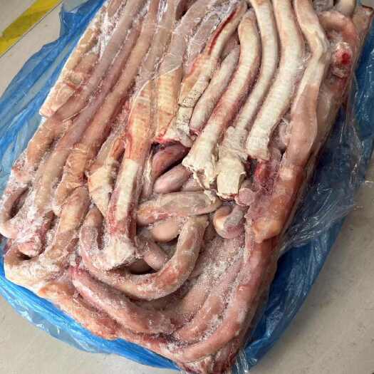 郑州河南 板装牛鞭 新鲜直达 惠济区发货