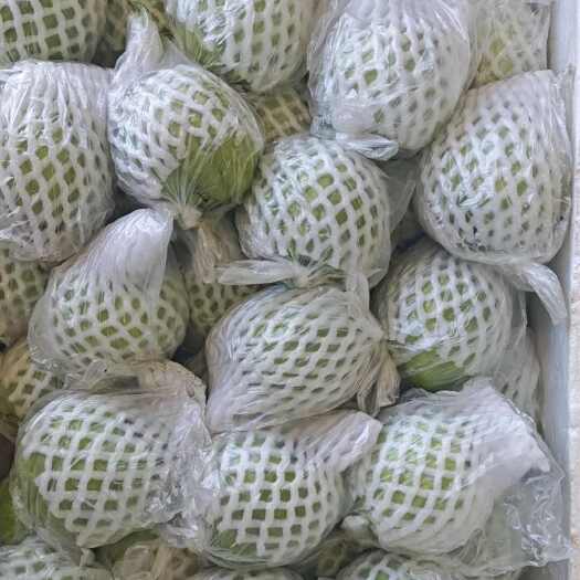 漳州福建芭乐脆甜软糯皆有