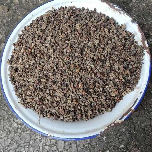 阳新县吴茱萸