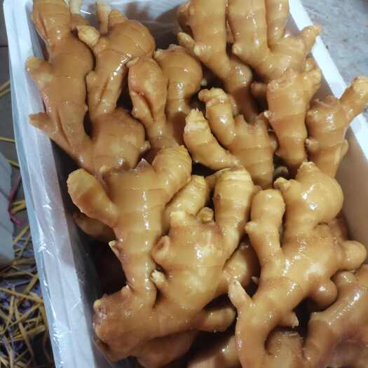安丘市精品二两以上的，有一级货，有二级货，还有姜巴，要什么质量都行