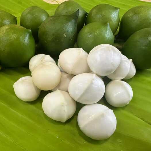 玉林夏威夷果青皮果新鲜采摘鲜吃模式解锁鲜果食谱菜谱汤料坚果菜谱