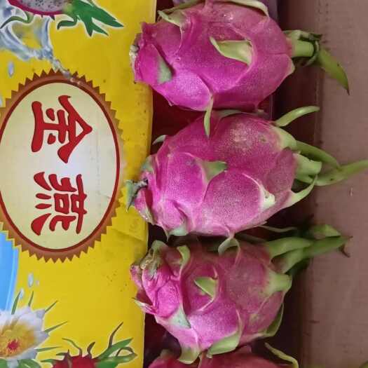 凭祥市越南白心火龙果二级