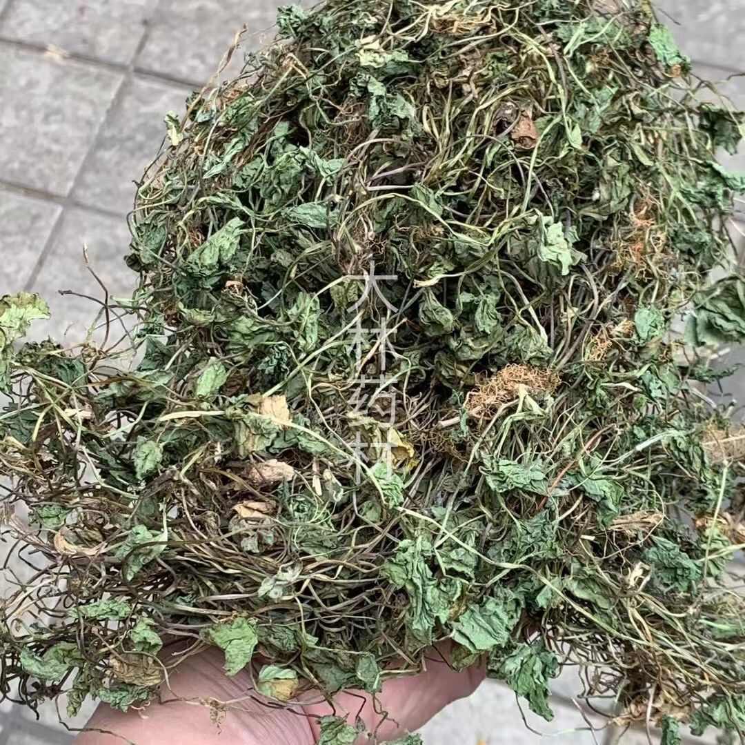 玉林长期供应｛雷公根｝可批量可零售量大从优【包邮】