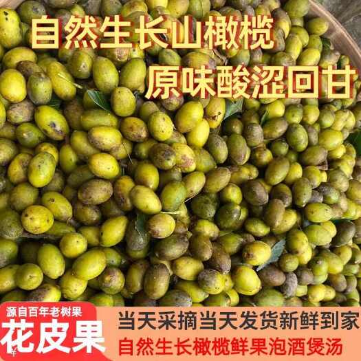 饶平县潮汕新鲜黄橄榄酸涩花皮黑斑杂果各种形状大小不一合适泡酒煲汤等