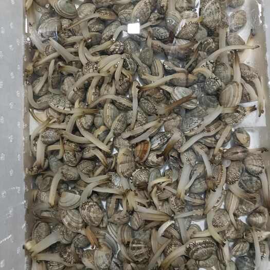 东港市东港花甲