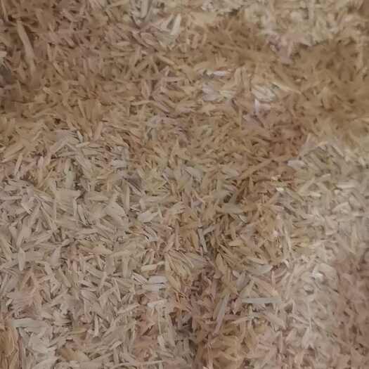 广州广西优质稻壳
