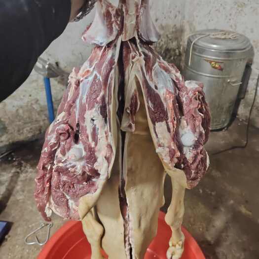 威宁县贵州跑山羊肉