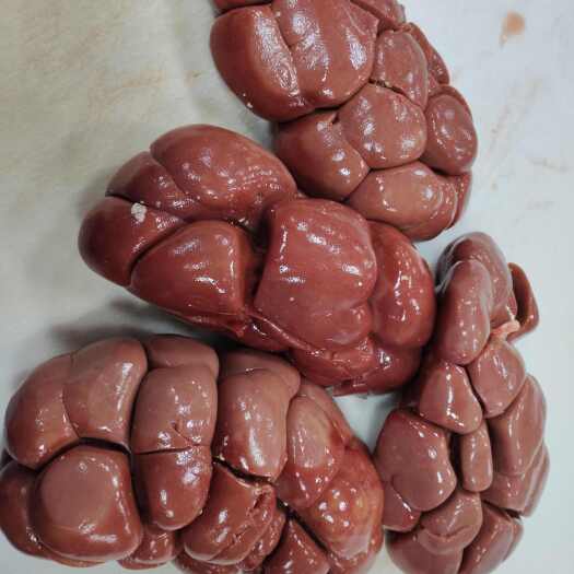 大厂县牛腰子，工厂直销，大量现货