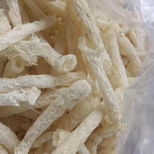 南城县竹荪杆