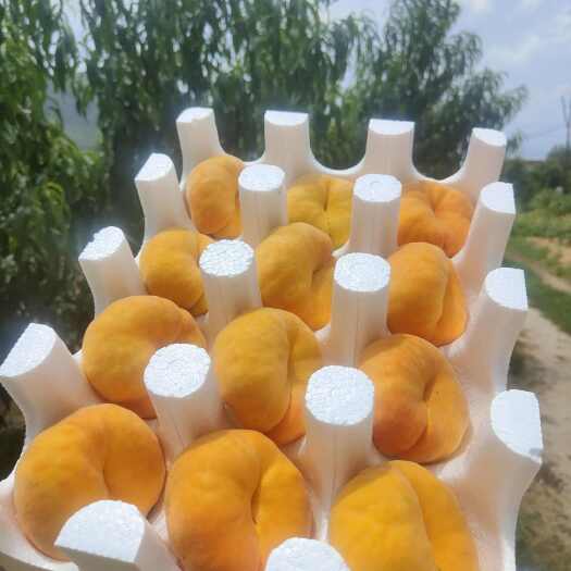 【黄蟠桃】山东沂蒙山黄金蟠桃，桃甜爽口，桃味十足，可顺丰包邮