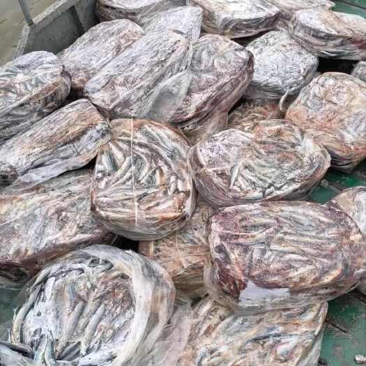 漳州福建漳州龙海区鱼用蛋白饲料鱼 农资农机优质选择