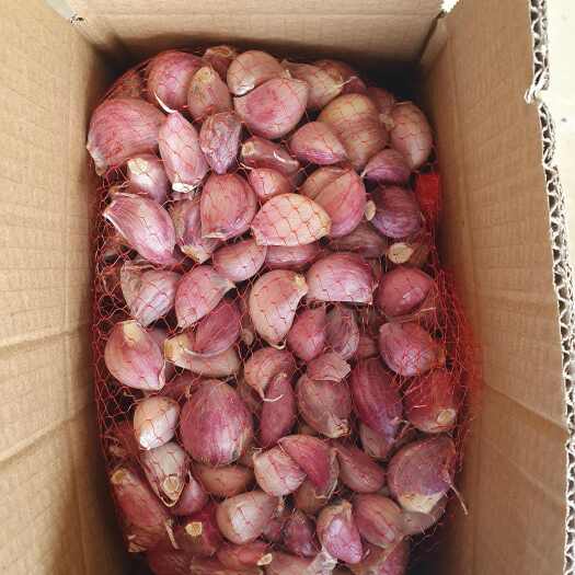 弥渡县云南大理精品紫皮红皮瓣瓣蒜蒜米手工剥瓣可种可吃产地直发