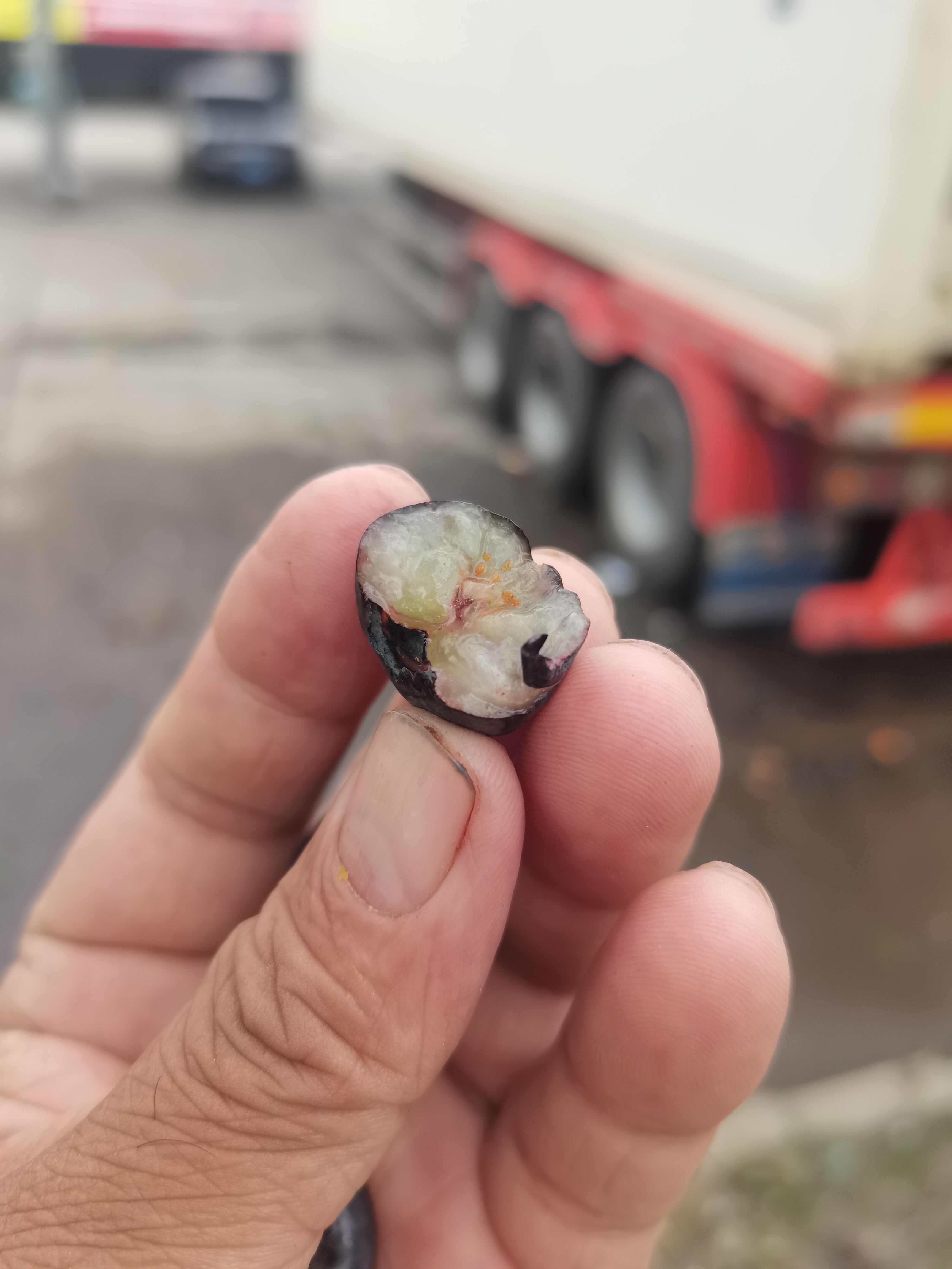 产地直发，一手货源，量大从优（国产和）