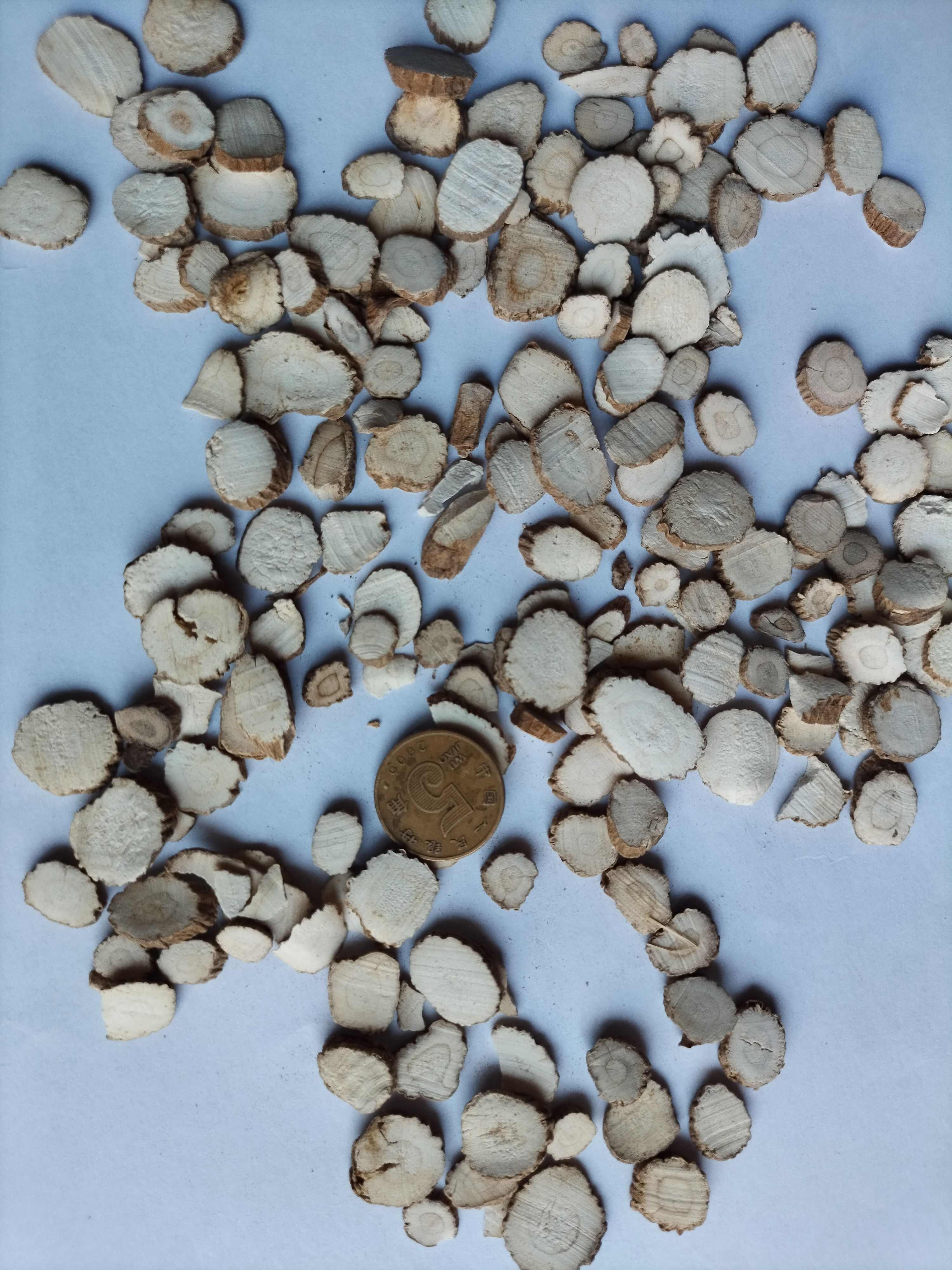 白芷大颗粒