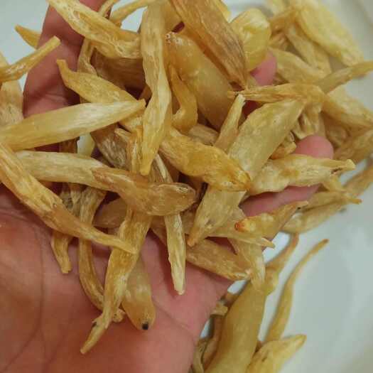 霞浦县天门冬(5斤起包邮)，目前数量有限