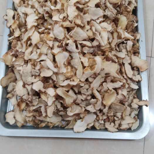 霞浦县生黄精