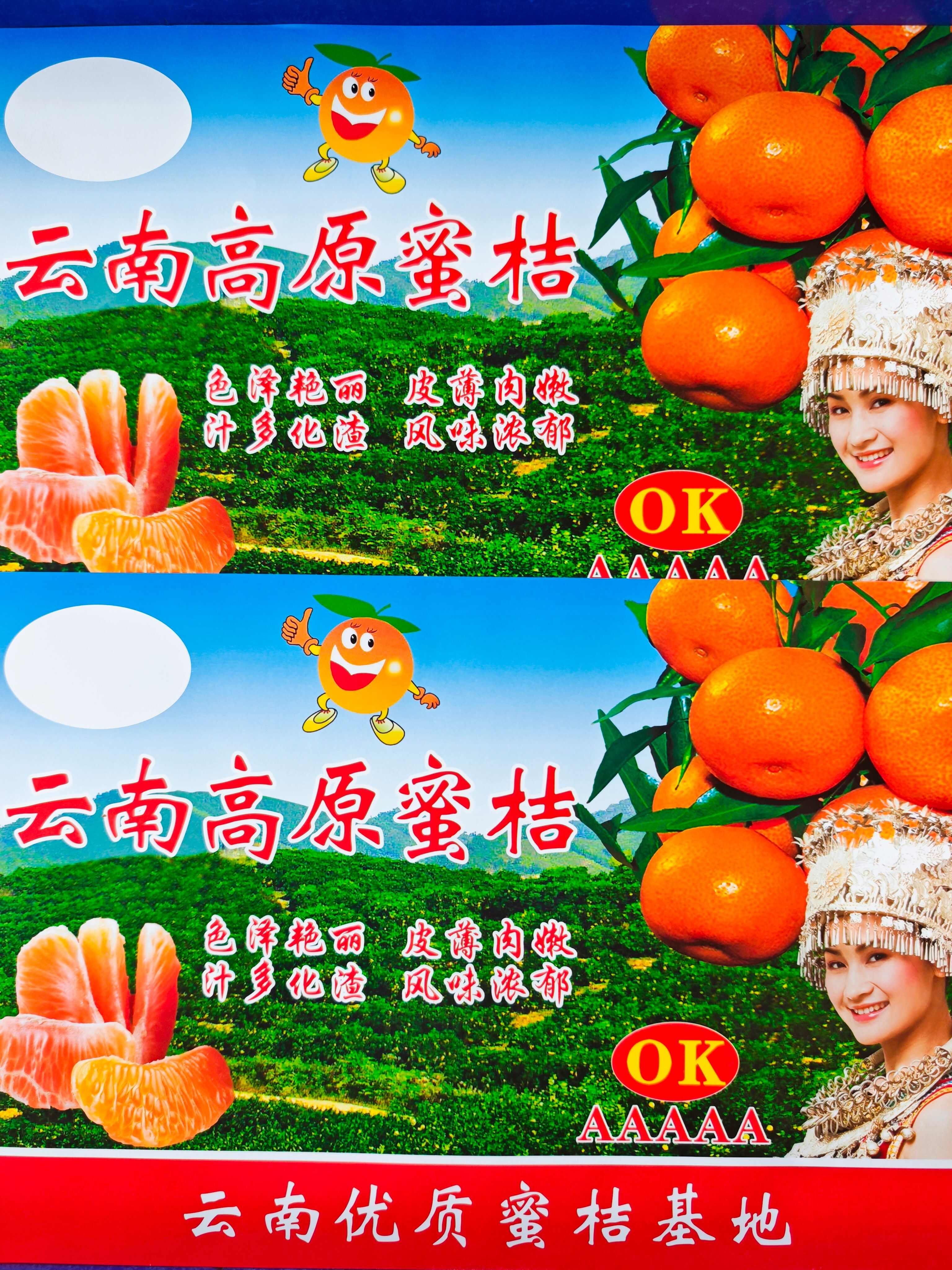 云南蜜桔大量上市，当天采摘，当天发货，我是产地代办代发