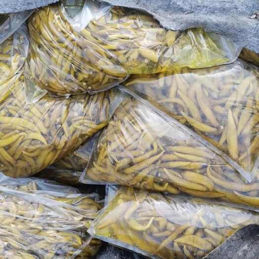 单县腌制的杭椒，有需要的请联系， 如出现损坏包赔。