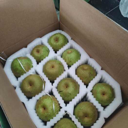 上海上海崇明翠冠梨脆甜爽口纯甜