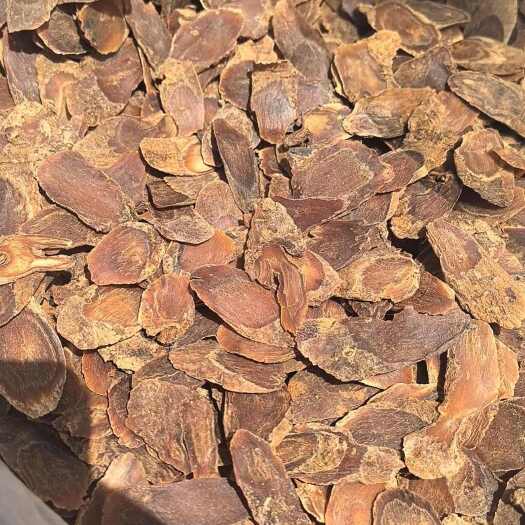 纯长白山红参大片 微瑕疵片（形状不规则）无硫磺不加糖非西洋红