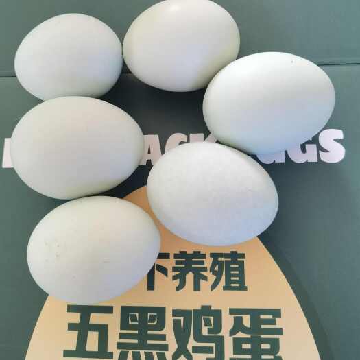 淮安五黑鸡蛋
