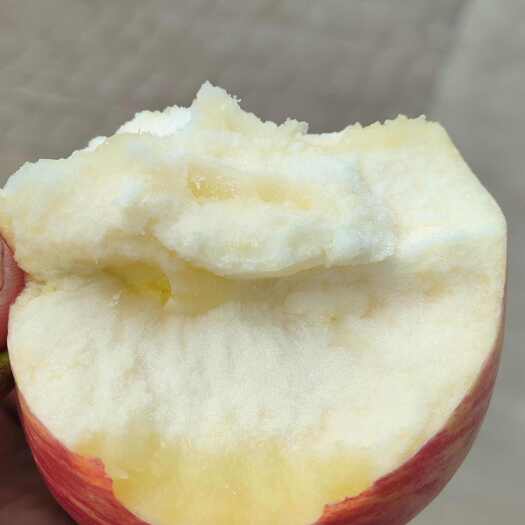 白水县粉面棉苹果刮泥吃可以刮着吃的苹果