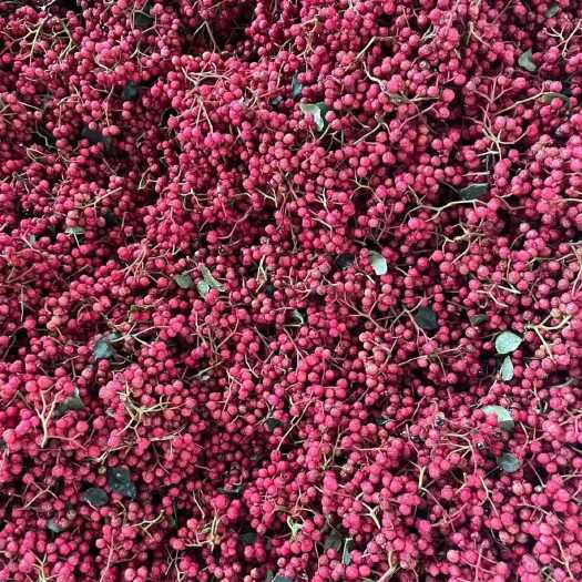 康定市鲜花椒