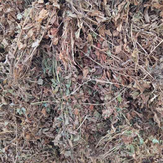 花生秧牛羊马草料