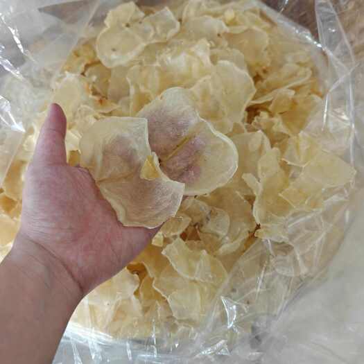 普宁市蝴蝶胶花胶鱼胶 40左右 泡发厚肉 批发零售 日常煲汤做甜品