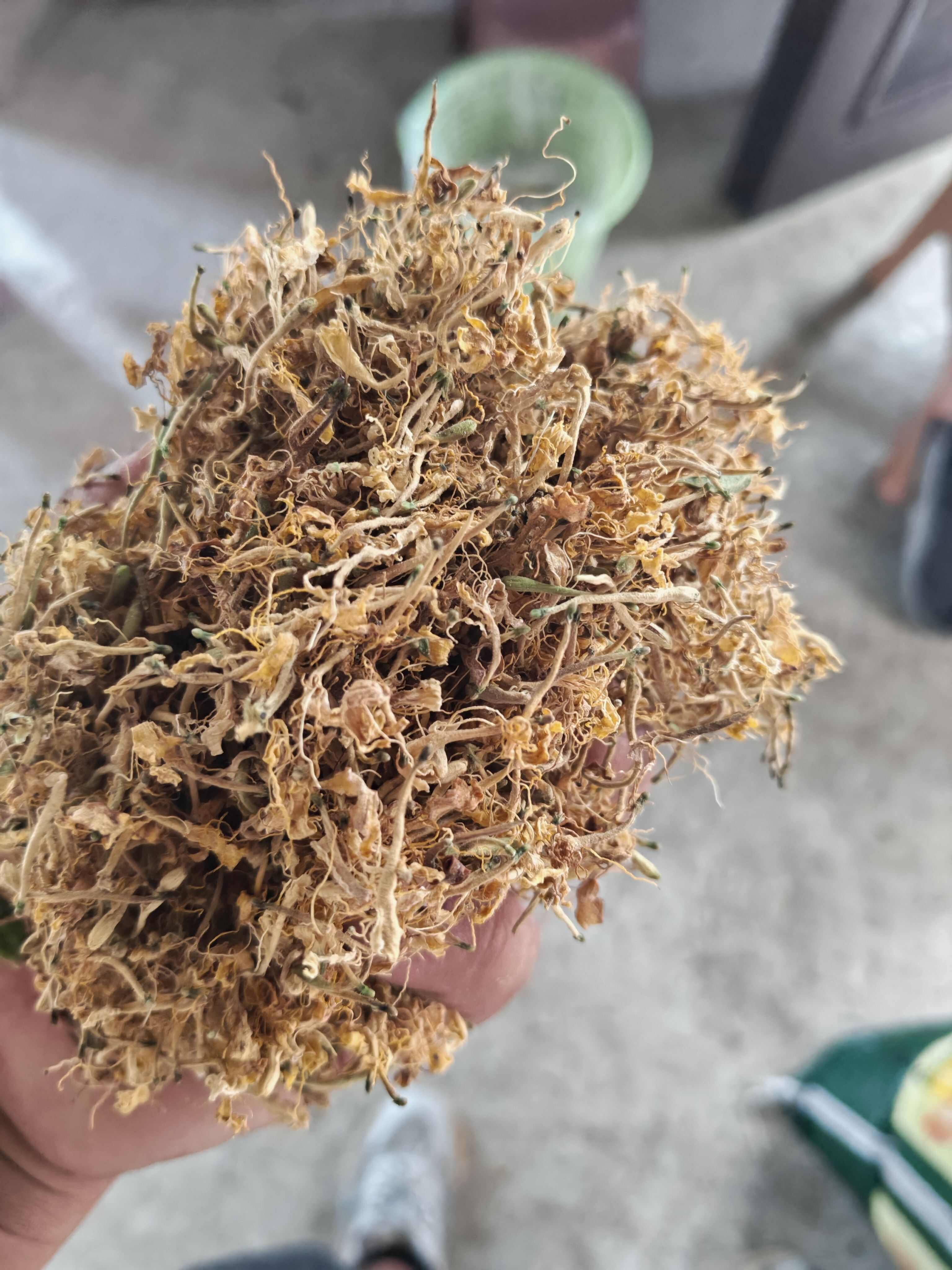 安龙县【包邮】产地直发贵州农家金银花无硫无化肥净含量500g晒干