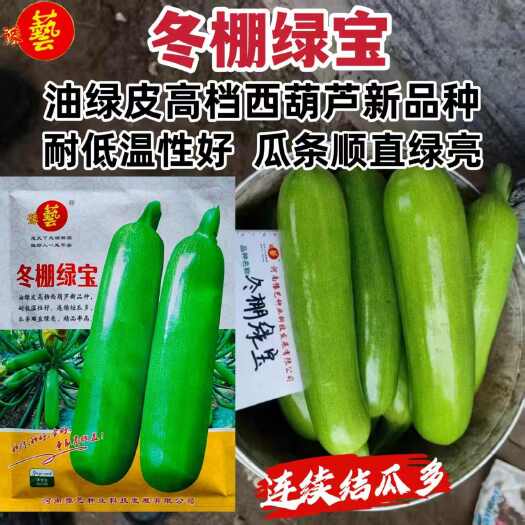 沭阳县冬棚绿宝西葫芦种子早熟抗病耐低温西葫芦种子油绿皮高档西葫芦种